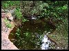 Aigua de maig. Les precipitacions de maig